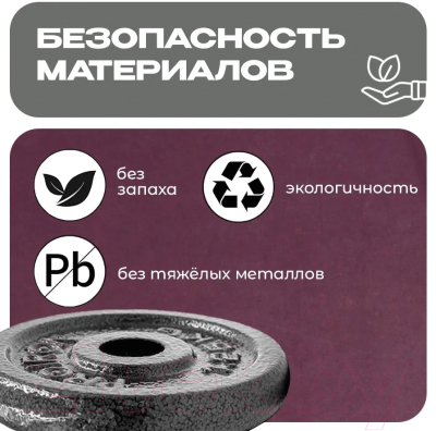 Набор дисков для штанги Proiron НЧД4250