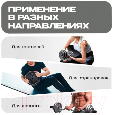 Набор дисков для штанги Proiron НЧД4250