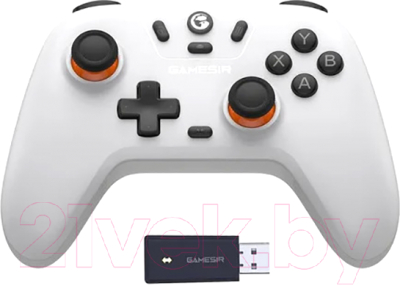 Геймпад Gamesir T4n - фото