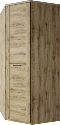 Шкаф Anrex Doorset угловой 1DG - фото