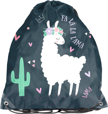 Мешок для обуви Paso PP23LA-712 - фото