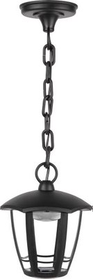 Светильник уличный ЭРА ДСУ 07-8-002 / Б0064271 - фото