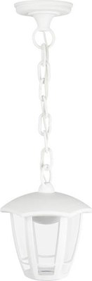 Светильник уличный ЭРА ДСУ 07-8-002 / Б0064293 - фото