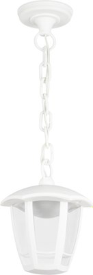 Светильник уличный ЭРА ДСУ 07-8-002 / Б0064293