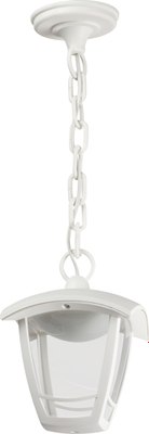 Светильник уличный ЭРА ДСУ 07-8-001 / Б0064294