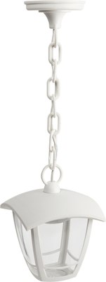 Светильник уличный ЭРА ДСУ 07-8-001 / Б0064294