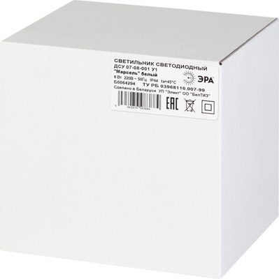 Светильник уличный ЭРА ДСУ 07-8-001 / Б0064294