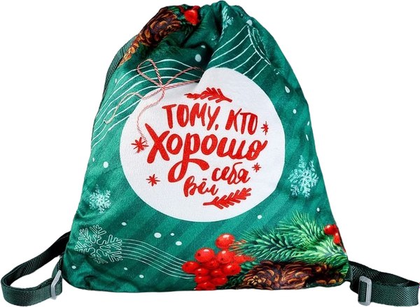 Мешок для обуви Milo Toys Тому, кто хорошо себя вел / 9720695 - фото