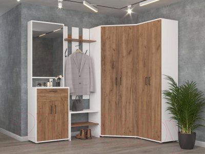 Вешалка для одежды Премиум ПР-7 Модуль 4