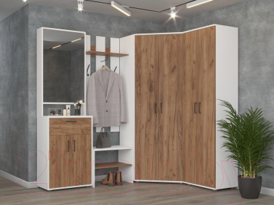 Шкаф Премиум ПР-7 Модуль 6