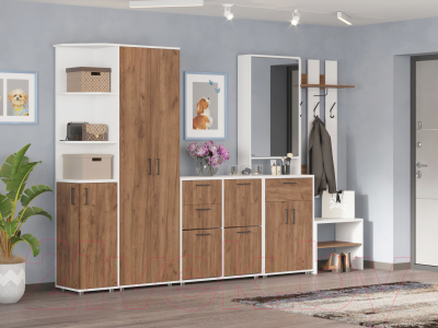 Шкаф Премиум ПР-7 Модуль 7