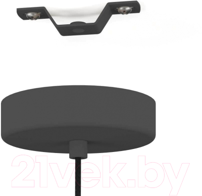 Потолочный светильник Eglo Estanys 390159