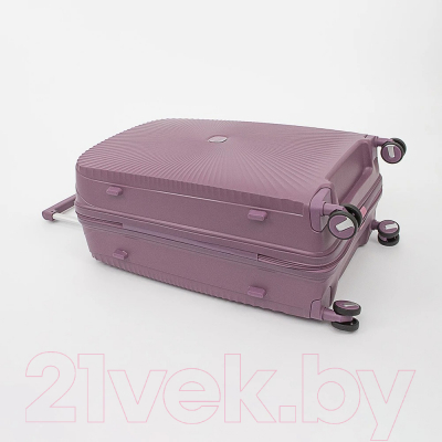 Чемодан на колесах Francesco Molinary 344-168/3-28VLT