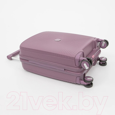 Чемодан на колесах Francesco Molinary 344-168/2-20VLT