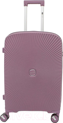 Чемодан на колесах Francesco Molinary 344-168/2-24VLT - фото