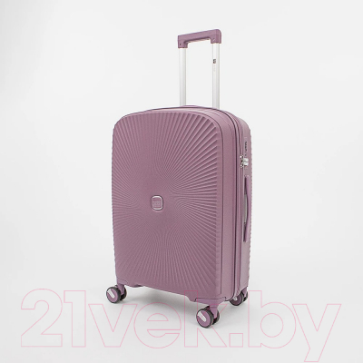 Чемодан на колесах Francesco Molinary 344-168/2-24VLT