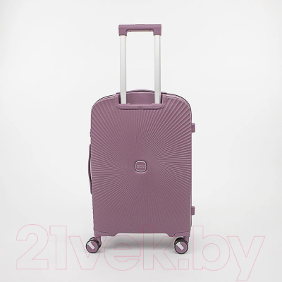 Чемодан на колесах Francesco Molinary 344-168/2-24VLT