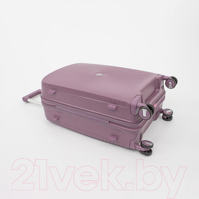 Чемодан на колесах Francesco Molinary 344-168/2-24VLT