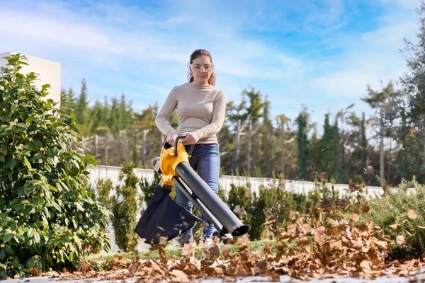 Воздуходувка аккумуляторная Stiga VS 100e Kit (271504198/ST1)