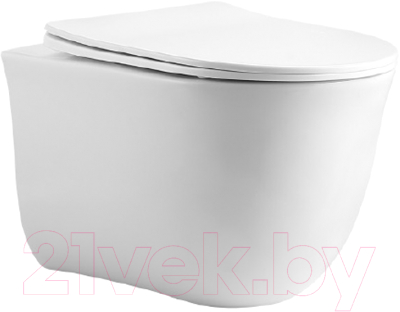 Унитаз подвесной Aquatek Классик AQ1112T-00 - фото