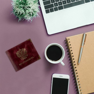 Обложка для удостоверения Brauberg Герб / 238200