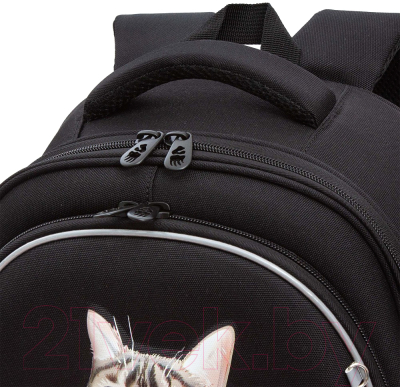 Школьный рюкзак Grizzly RAz-486-13