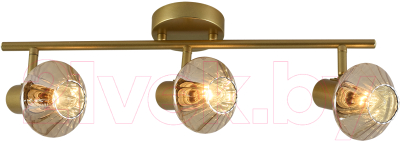 Спот ESCADA 674/3P