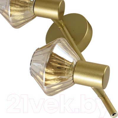 Спот ESCADA 674/3P