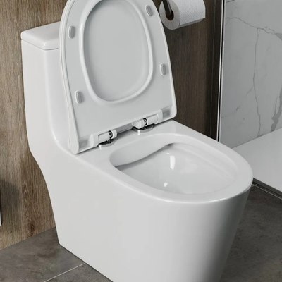 Унитаз напольный Teymi Solli / T41101