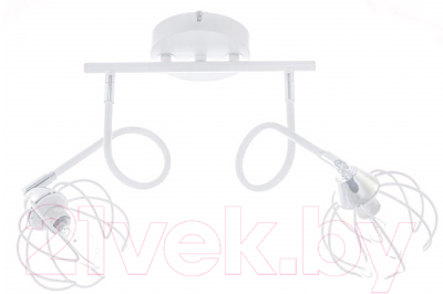 Спот Aitin-Pro НПБ 02-2х60-102 / K237/2 - фото