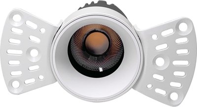 Точечный светильник FAVOURITE 4418-1C