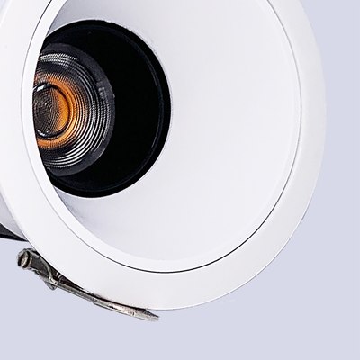 Точечный светильник FAVOURITE 4423-1C