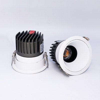 Точечный светильник FAVOURITE 4420-1C