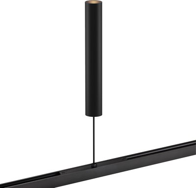 Потолочный светильник FAVOURITE 4586-1P