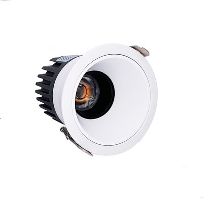 Точечный светильник FAVOURITE 4419-1C