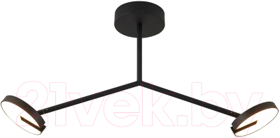 Потолочный светильник FAVOURITE 4401-2C - фото