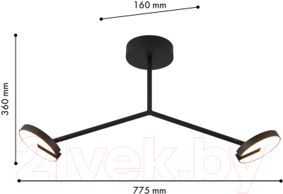 Потолочный светильник FAVOURITE 4401-2C