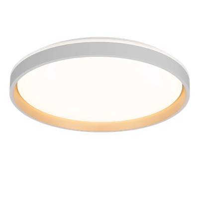 Потолочный светильник Citilux Enzo CL753510G - фото