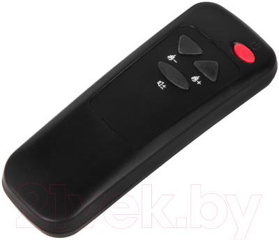 Электрокамин RealFlame 3D Olympic