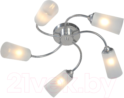 Люстра Vitaluce V2831-9/5PL - фото