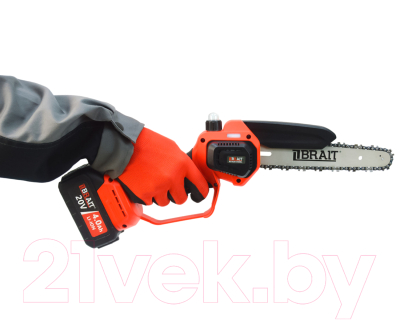 Пила цепная аккумуляторная Brait BCHS20-4NMBL