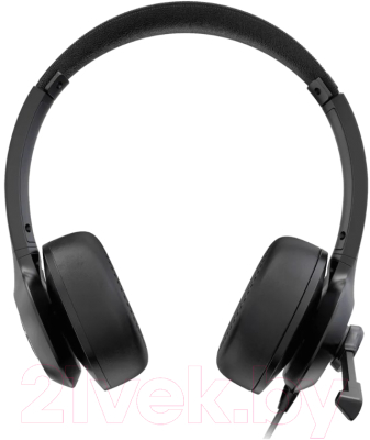 Наушники-гарнитура Acer OHW309 / ZL.HDSEE.004