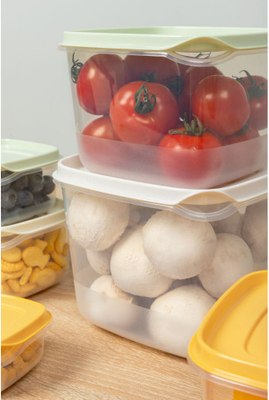 Набор контейнеров Phibo Clever 433160518