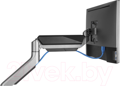 Кронштейн для монитора Ergosmart Heavy-Duty DBL