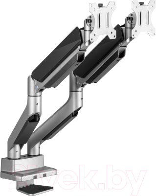 Кронштейн для монитора Ergosmart Heavy-Duty DBL