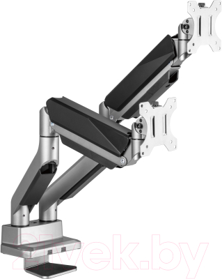 Кронштейн для монитора Ergosmart Heavy-Duty DBL