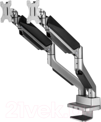 Кронштейн для монитора Ergosmart Heavy-Duty DBL