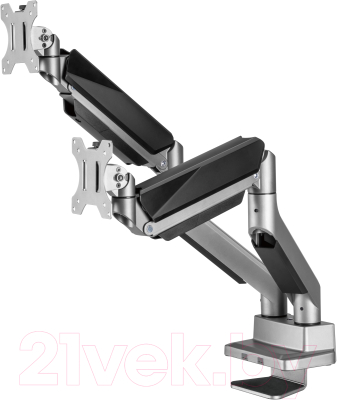 Кронштейн для монитора Ergosmart Heavy-Duty DBL