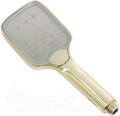 Лейка ручного душа Ledeme LD002G - фото