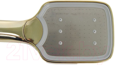 Лейка ручного душа Ledeme LD002G